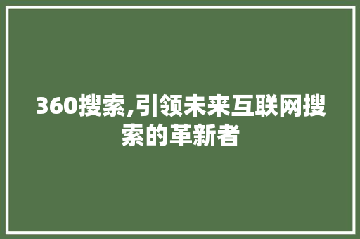 360搜索,引领未来互联网搜索的革新者