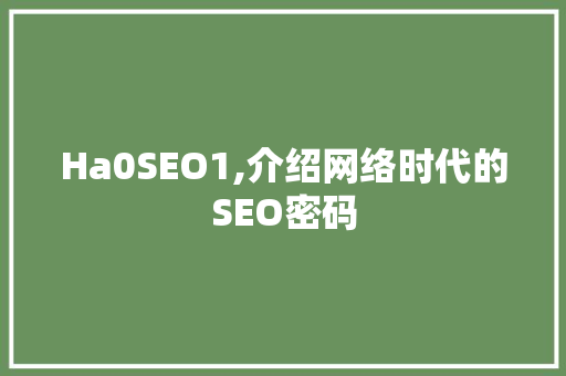 Ha0SEO1,介绍网络时代的SEO密码