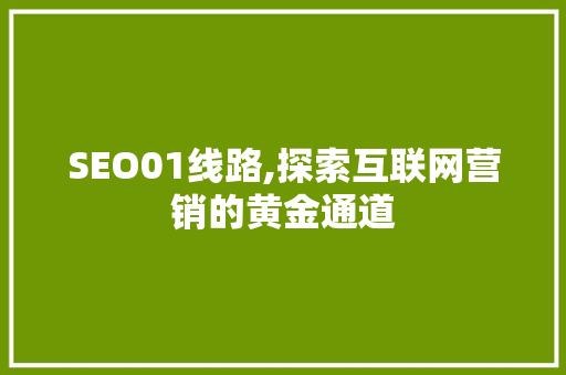 SEO01线路,探索互联网营销的黄金通道