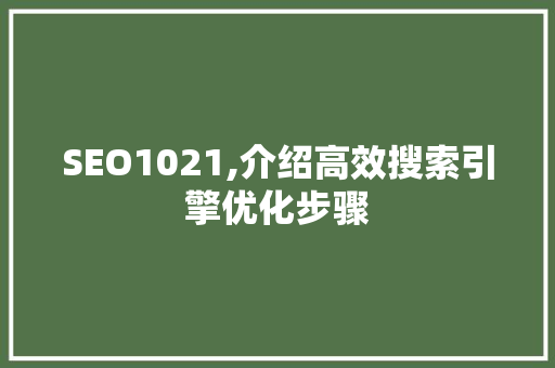 SEO1021,介绍高效搜索引擎优化步骤