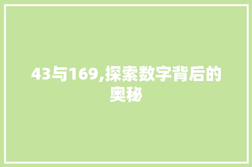 43与169,探索数字背后的奥秘