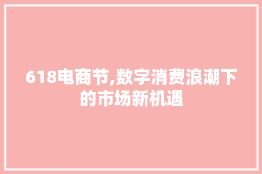 618电商节,数字消费浪潮下的市场新机遇