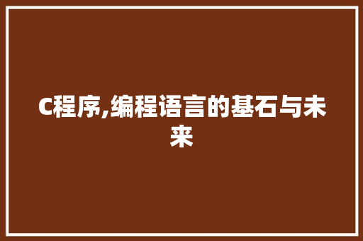 C程序,编程语言的基石与未来