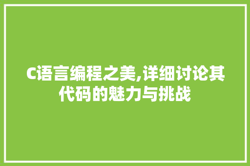 C语言编程之美,详细讨论其代码的魅力与挑战