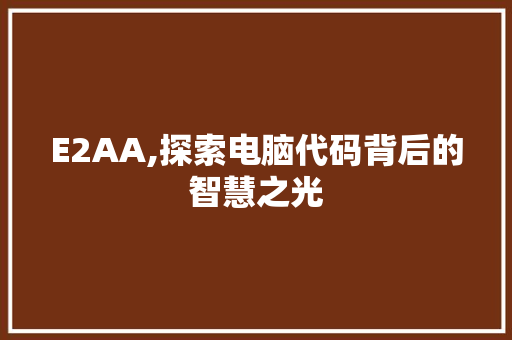 E2AA,探索电脑代码背后的智慧之光