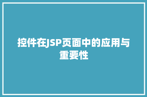 控件在JSP页面中的应用与重要性