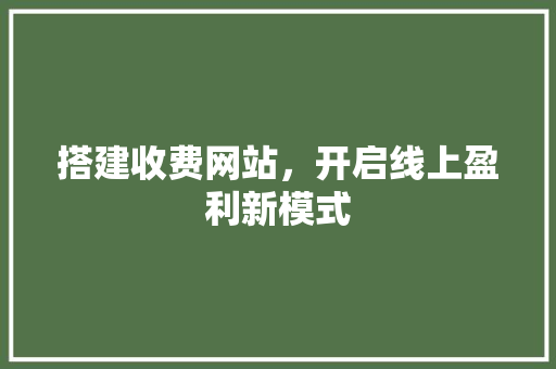 搭建收费网站，开启线上盈利新模式