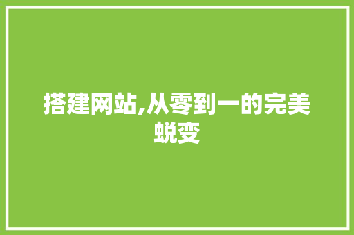 搭建网站,从零到一的完美蜕变