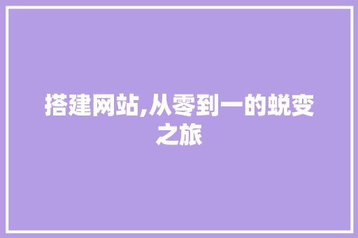 搭建网站,从零到一的蜕变之旅