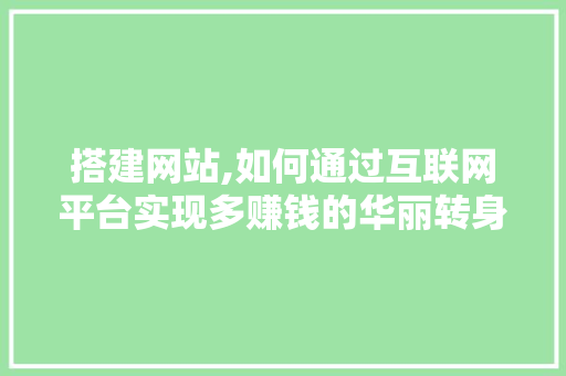 搭建网站,如何通过互联网平台实现多赚钱的华丽转身