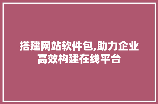 搭建网站软件包,助力企业高效构建在线平台