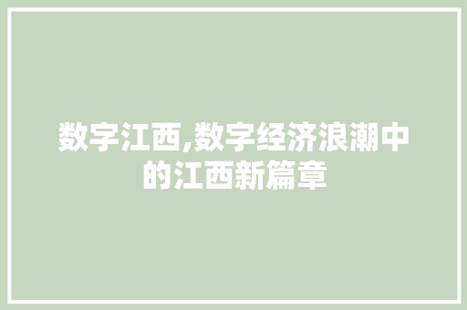 数字江西,数字经济浪潮中的江西新篇章