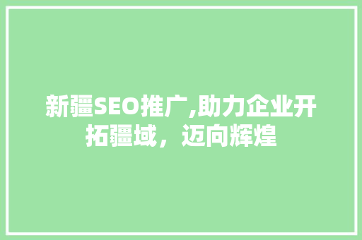 新疆SEO推广,助力企业开拓疆域，迈向辉煌