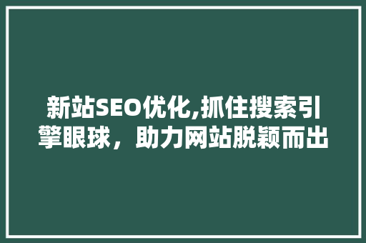 新站SEO优化,抓住搜索引擎眼球，助力网站脱颖而出