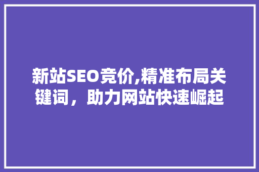 新站SEO竞价,精准布局关键词，助力网站快速崛起