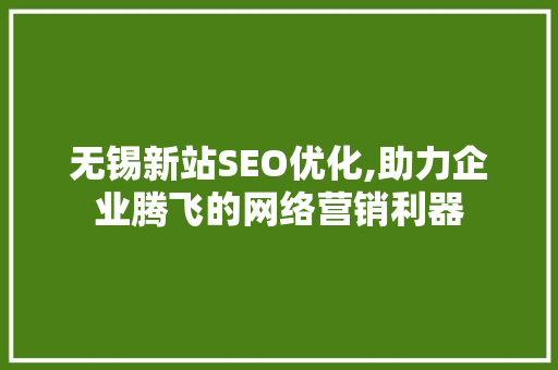 无锡新站SEO优化,助力企业腾飞的网络营销利器