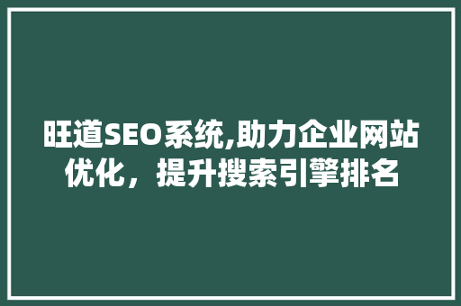 旺道SEO系统,助力企业网站优化，提升搜索引擎排名