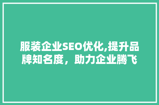 服装企业SEO优化,提升品牌知名度，助力企业腾飞