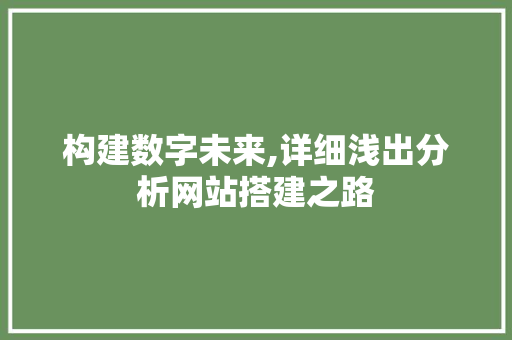 构建数字未来,详细浅出分析网站搭建之路