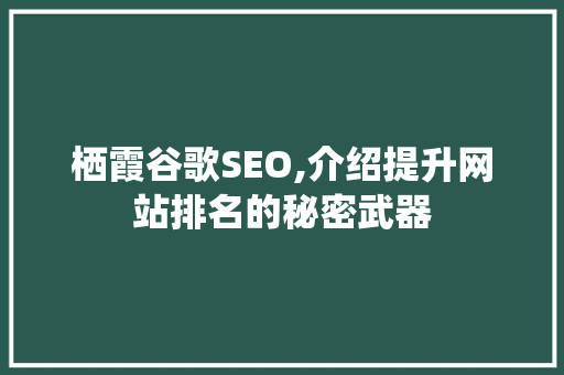 栖霞谷歌SEO,介绍提升网站排名的秘密武器