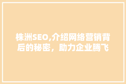 株洲SEO,介绍网络营销背后的秘密，助力企业腾飞