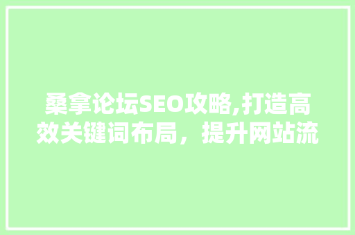 桑拿论坛SEO攻略,打造高效关键词布局，提升网站流量