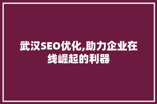 武汉SEO优化,助力企业在线崛起的利器