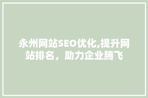 永州网站SEO优化,提升网站排名，助力企业腾飞