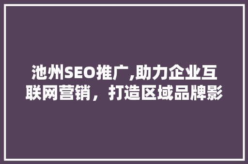 池州SEO推广,助力企业互联网营销，打造区域品牌影响力