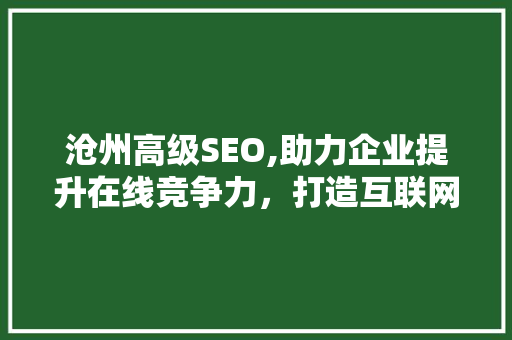 沧州高级SEO,助力企业提升在线竞争力，打造互联网时代品牌新高度