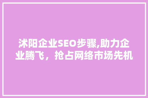 沭阳企业SEO步骤,助力企业腾飞，抢占网络市场先机