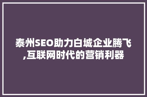 泰州SEO助力白城企业腾飞,互联网时代的营销利器