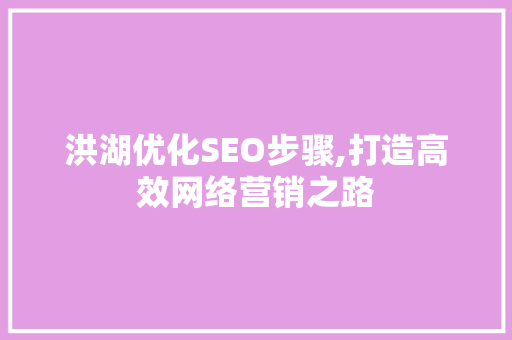 洪湖优化SEO步骤,打造高效网络营销之路