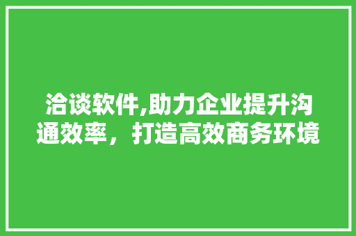 洽谈软件,助力企业提升沟通效率，打造高效商务环境