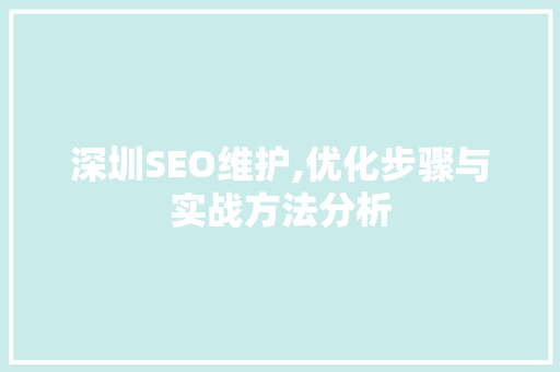 深圳SEO维护,优化步骤与实战方法分析