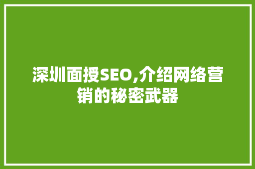 深圳面授SEO,介绍网络营销的秘密武器