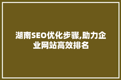 湖南SEO优化步骤,助力企业网站高效排名