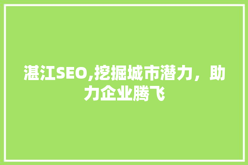 湛江SEO,挖掘城市潜力，助力企业腾飞