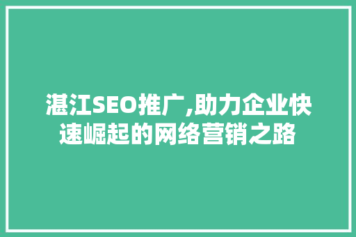 湛江SEO推广,助力企业快速崛起的网络营销之路