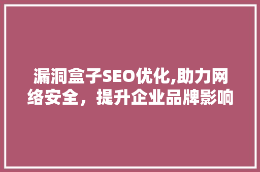 漏洞盒子SEO优化,助力网络安全，提升企业品牌影响力