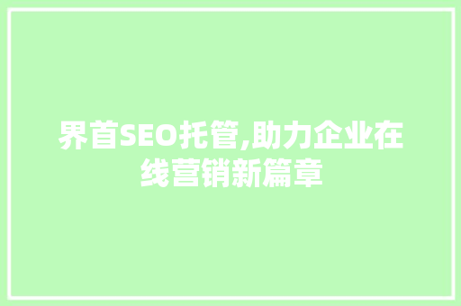 界首SEO托管,助力企业在线营销新篇章