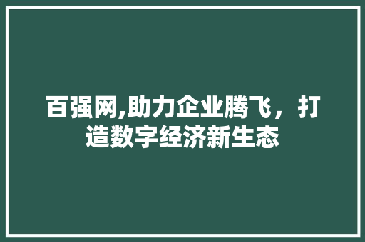 百强网,助力企业腾飞，打造数字经济新生态