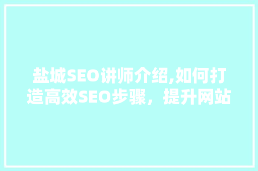 盐城SEO讲师介绍,如何打造高效SEO步骤，提升网站排名