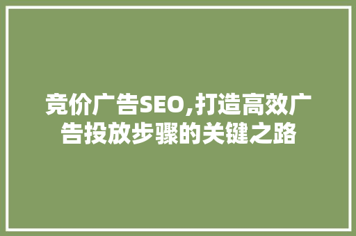 竞价广告SEO,打造高效广告投放步骤的关键之路