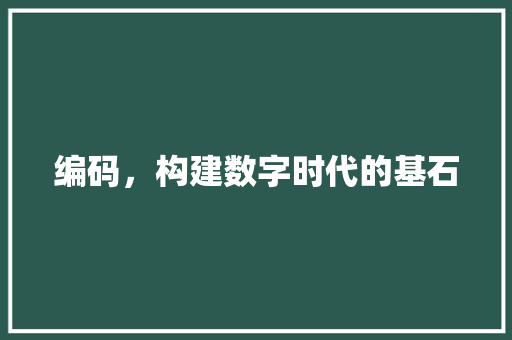 编码，构建数字时代的基石