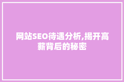 网站SEO待遇分析,揭开高薪背后的秘密