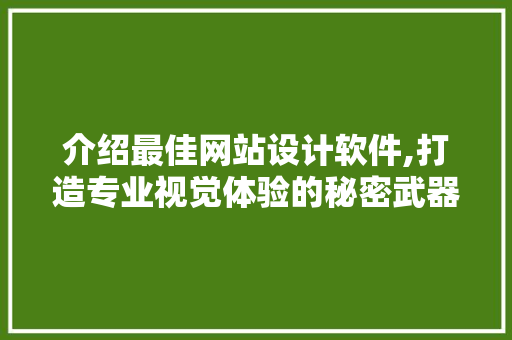 介绍最佳网站设计软件,打造专业视觉体验的秘密武器