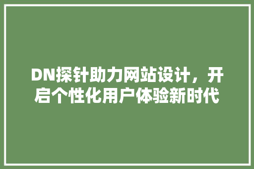 DN探针助力网站设计，开启个性化用户体验新时代