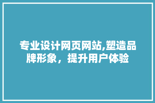 专业设计网页网站,塑造品牌形象，提升用户体验