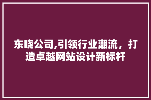 东晓公司,引领行业潮流，打造卓越网站设计新标杆